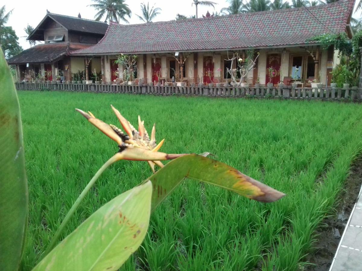 Rice Padi Artha Hotel Ubud  Ngoại thất bức ảnh